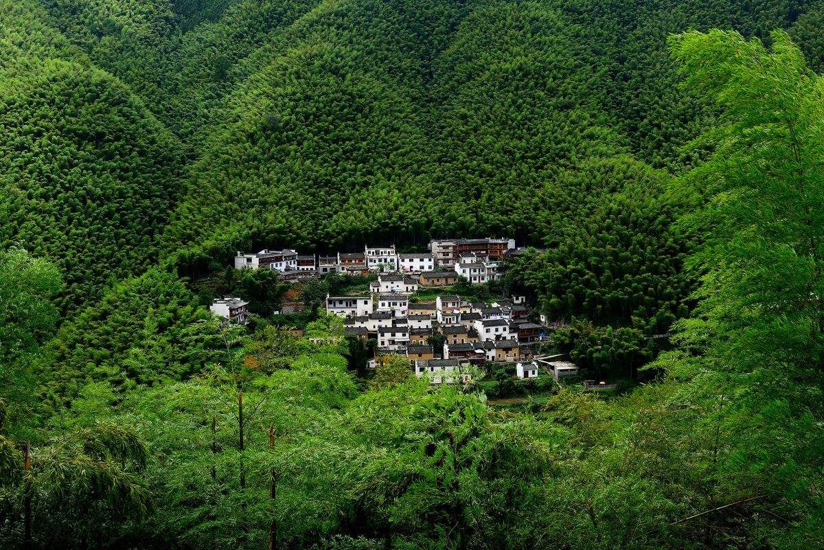 黃山私人包車定製1日遊（黃山市區出發）