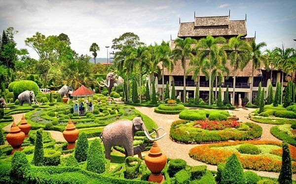 Nongnooch Garden，世界一流的優雅熱帶植物園，彙集了50個佔地1,700萊的天然溫室的自然花園中的國際植物。