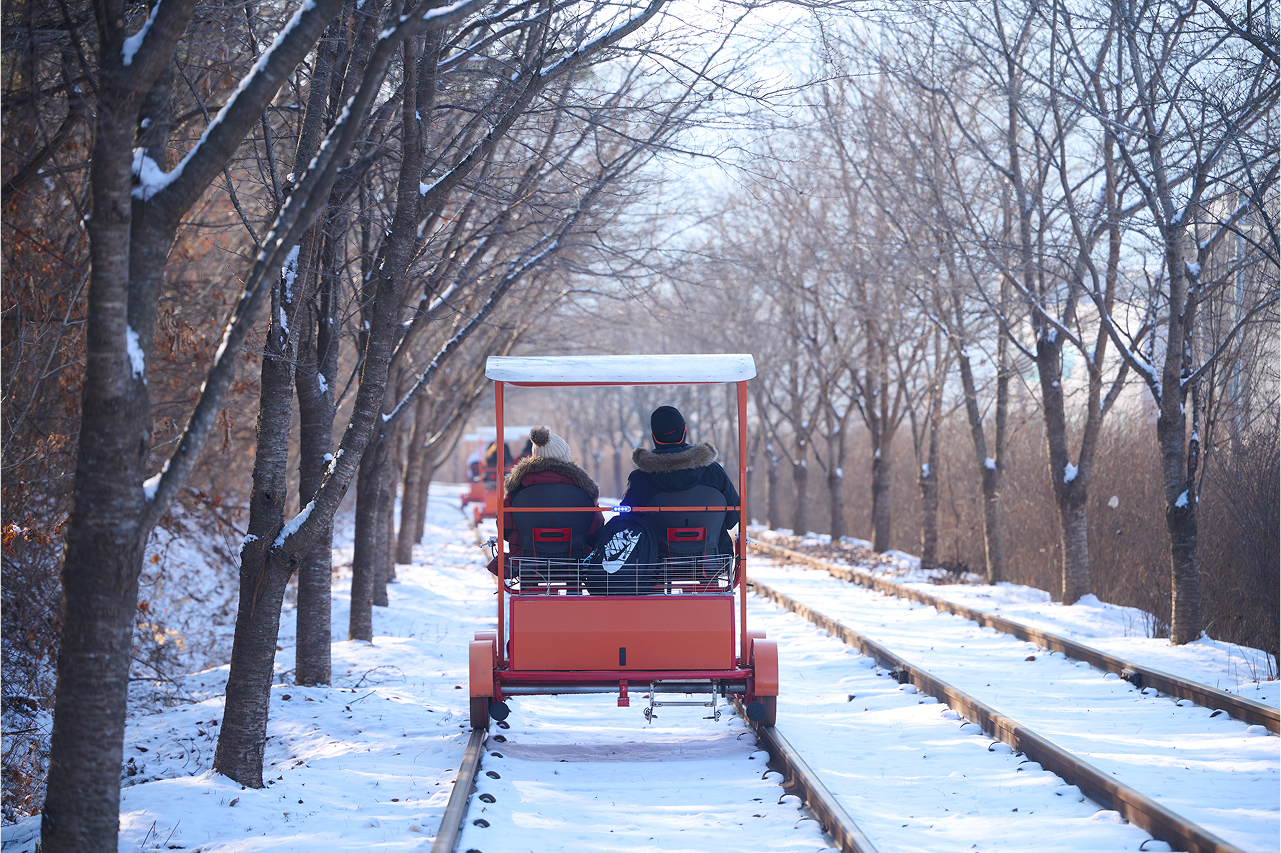 乘坐軌道自行車一定會與您所愛的人創造特別的回憶。 乘坐軌道自行車一定會與您所愛的人創造特別的回憶。