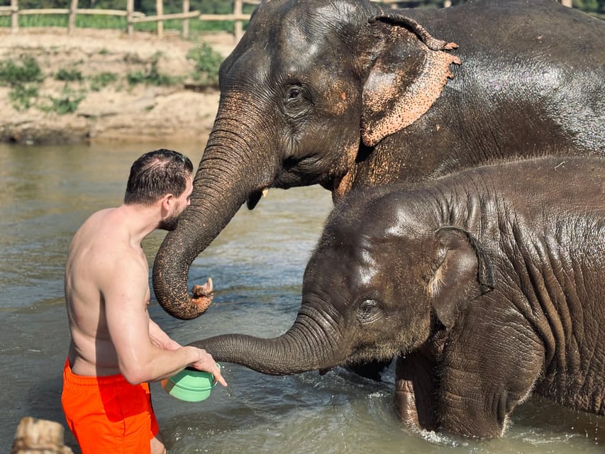 Chiang Mai Elephant Sanctuary Half-Day Wildlife Tour