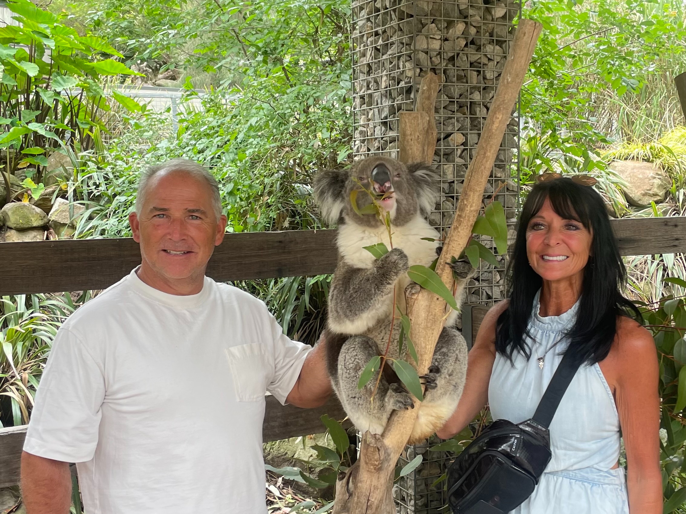 Cuddle a Koala and Historic Hahndorf Tour