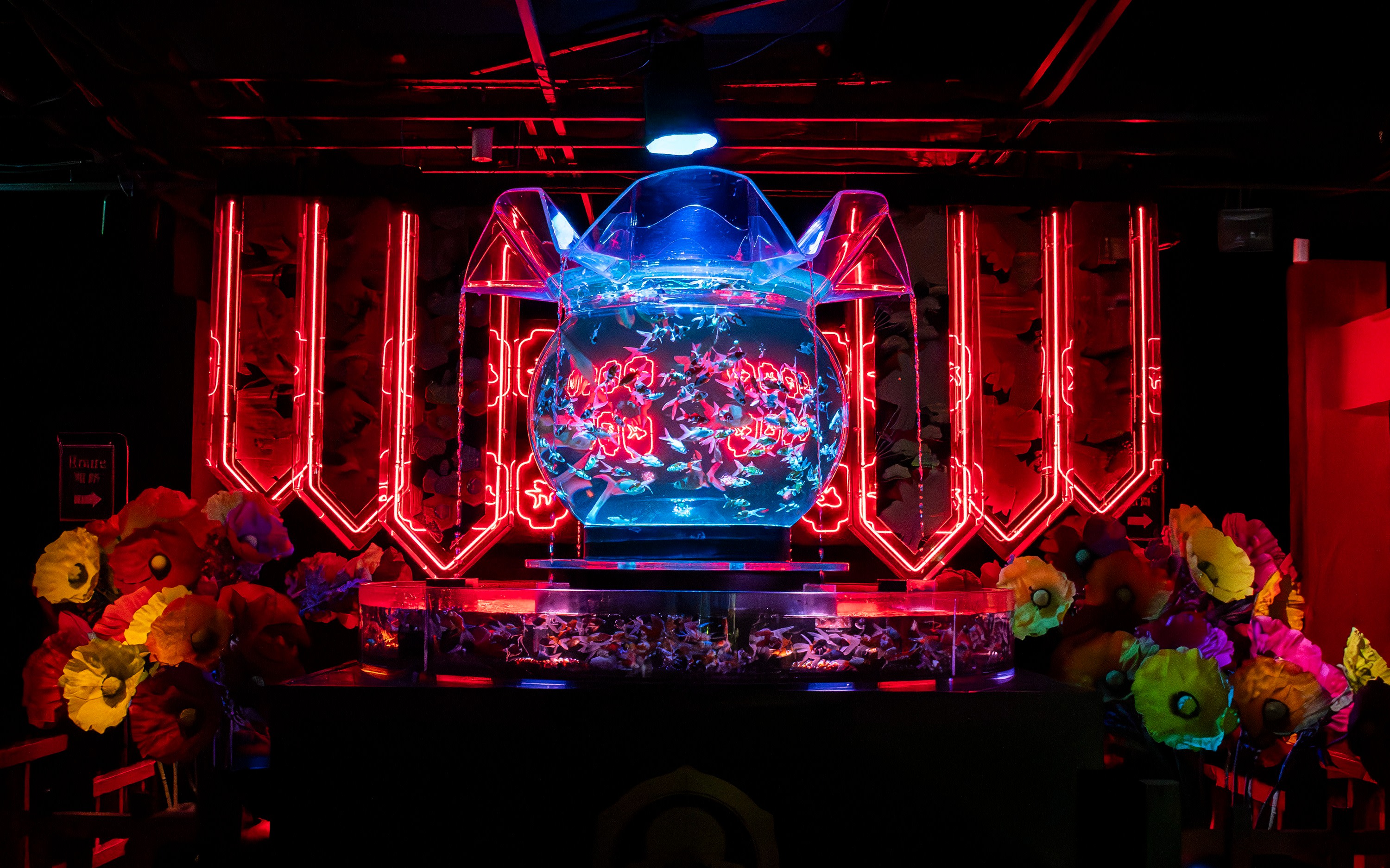 Art Aquarium Museum GINZA Ticket