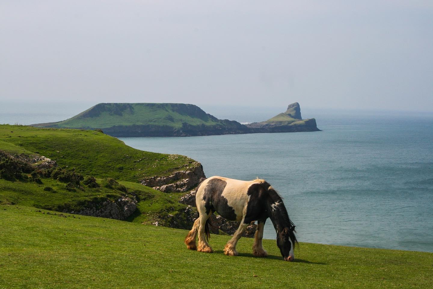 Cardiff: Gower Peninsula's Cliffs Scenic Day Tour