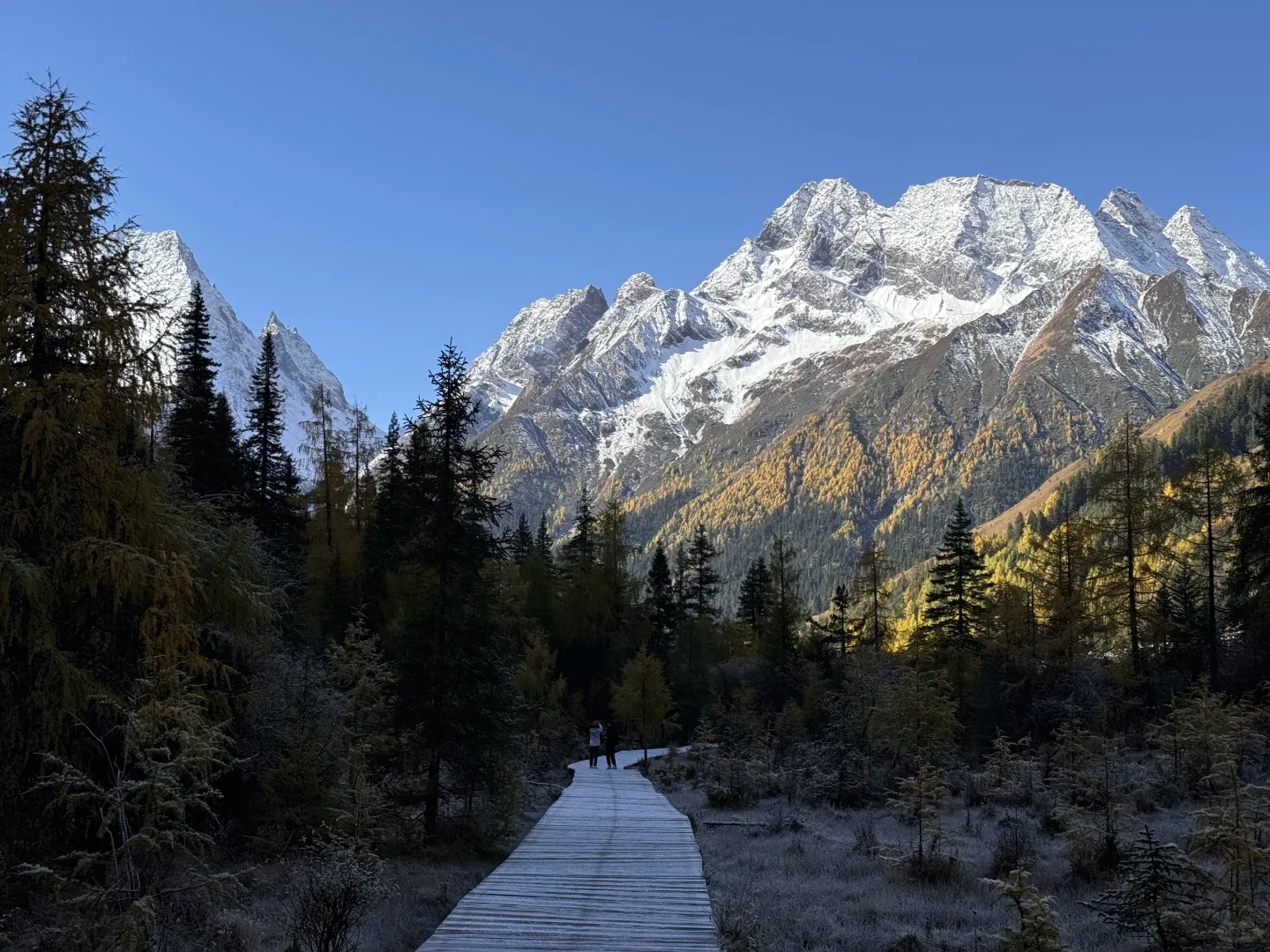 雙橋溝被譽為"東方阿爾卑斯"，以開闊的視野和多樣的景觀著稱。溝內公路貫穿全境，輕鬆抵達雪山腳下，漫步棧道，碧水映襯著冰川，隨手一拍都是大片。
