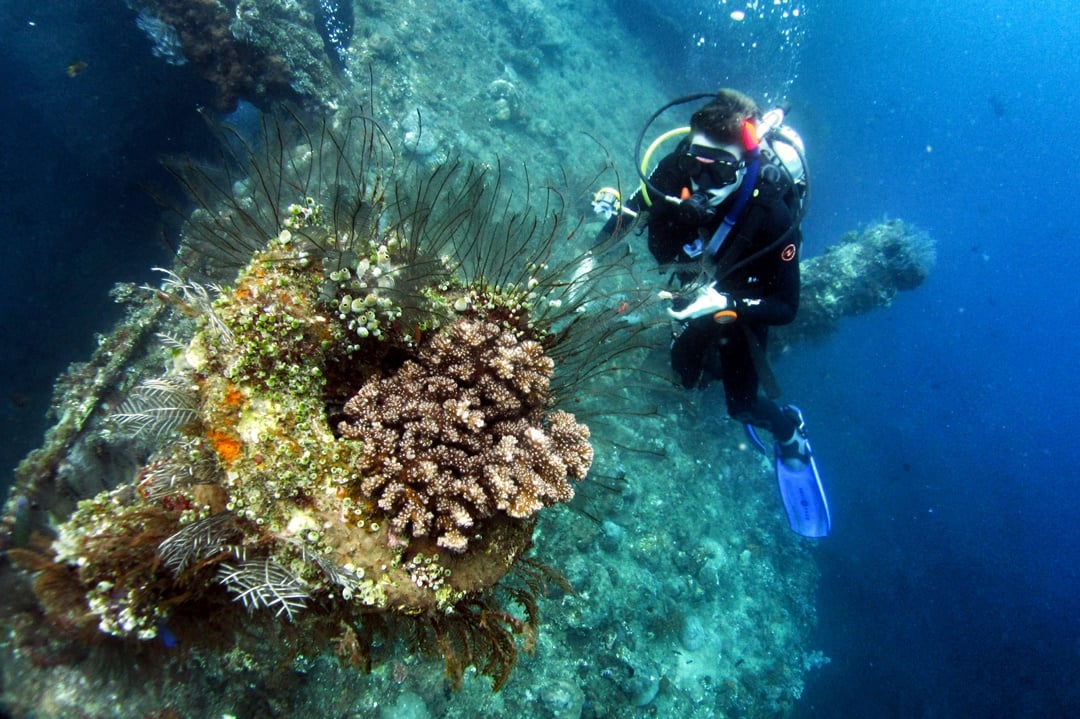 2ダイブUSATリバティ（トランベン / PADI 5 Star Dive Center提供）