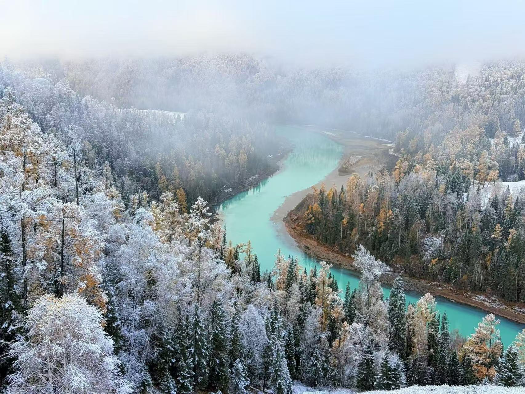 薄霧漫過雪林，碧色河道蜿蜒山間。林木覆著薄雪，黃綠枝葉錯落，朦朧霧氣增添空靈靜謐，盡顯喀納斯初冬清冷仙氣