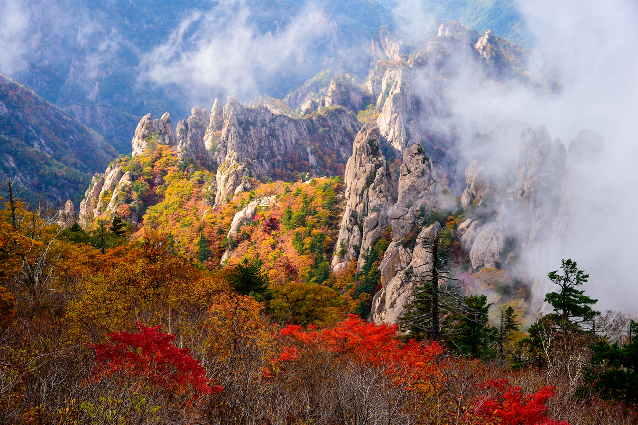 雪嶽山是韓國最具代表性的賞楓勝地之一，秋天時，壯麗的山坡被染上紅、金色的漸層色彩，美不勝收。
