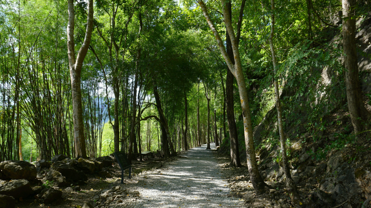 從曼谷出發：死亡鐵路和地獄火通道（含午餐）