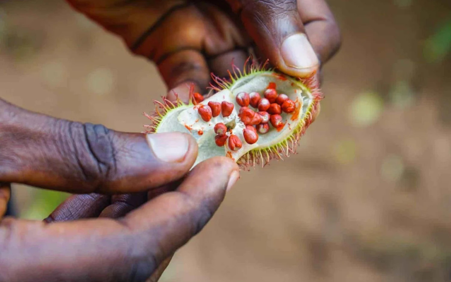 Shabuta Spice Farm Half-day Local Food & Shopping Tour