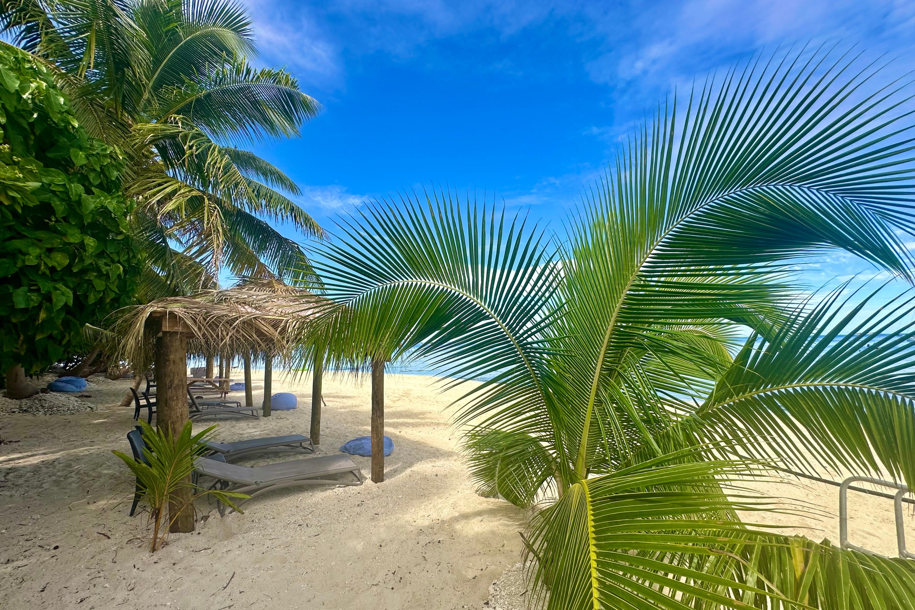 棕櫚樹蔭下的私人小屋 棕櫚樹蔭下的私人小屋