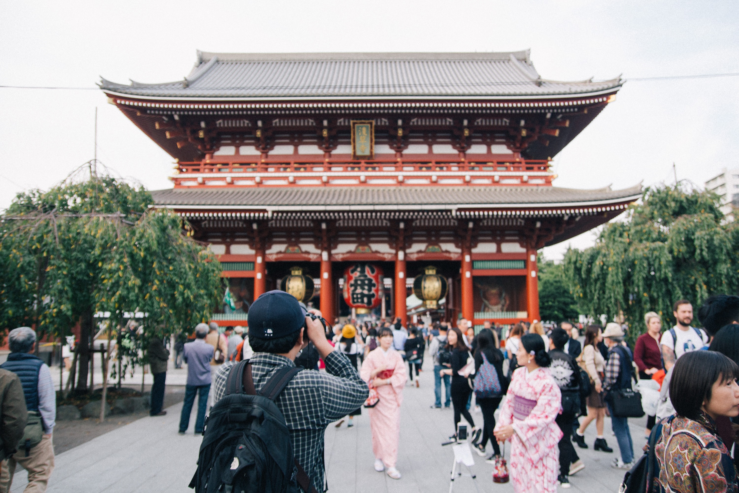 Sensoji Temple & Nakamise Shopping Street Half-day Walking & Street Food Tour