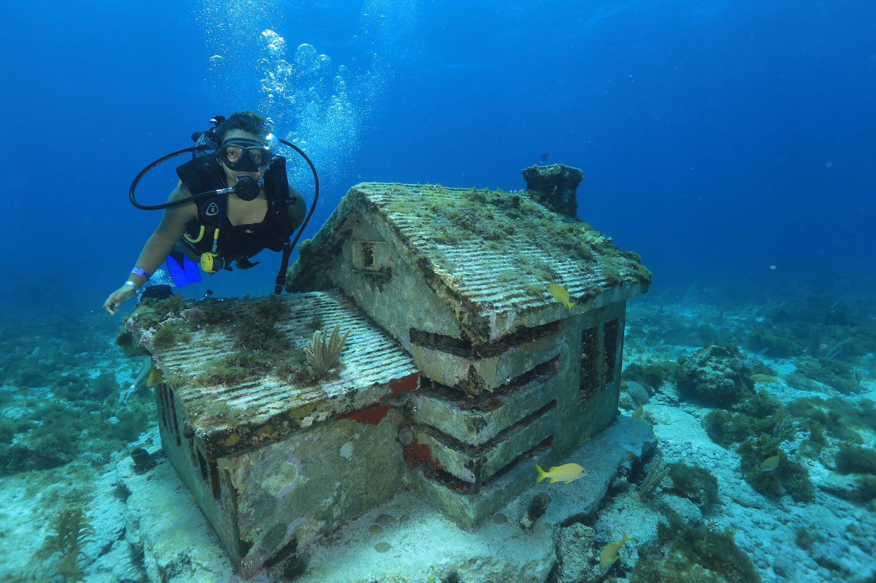 Scuba Diving for Beginners in Cancun