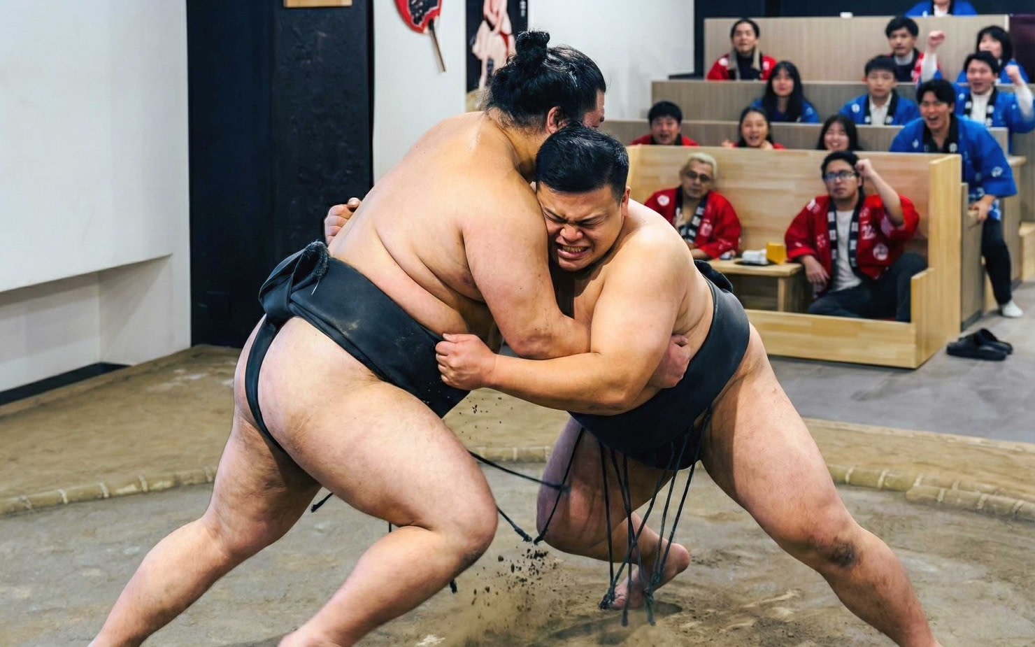 Tokyo Ginza: A Sumo Show Full of Experiences & Commemorative Photos