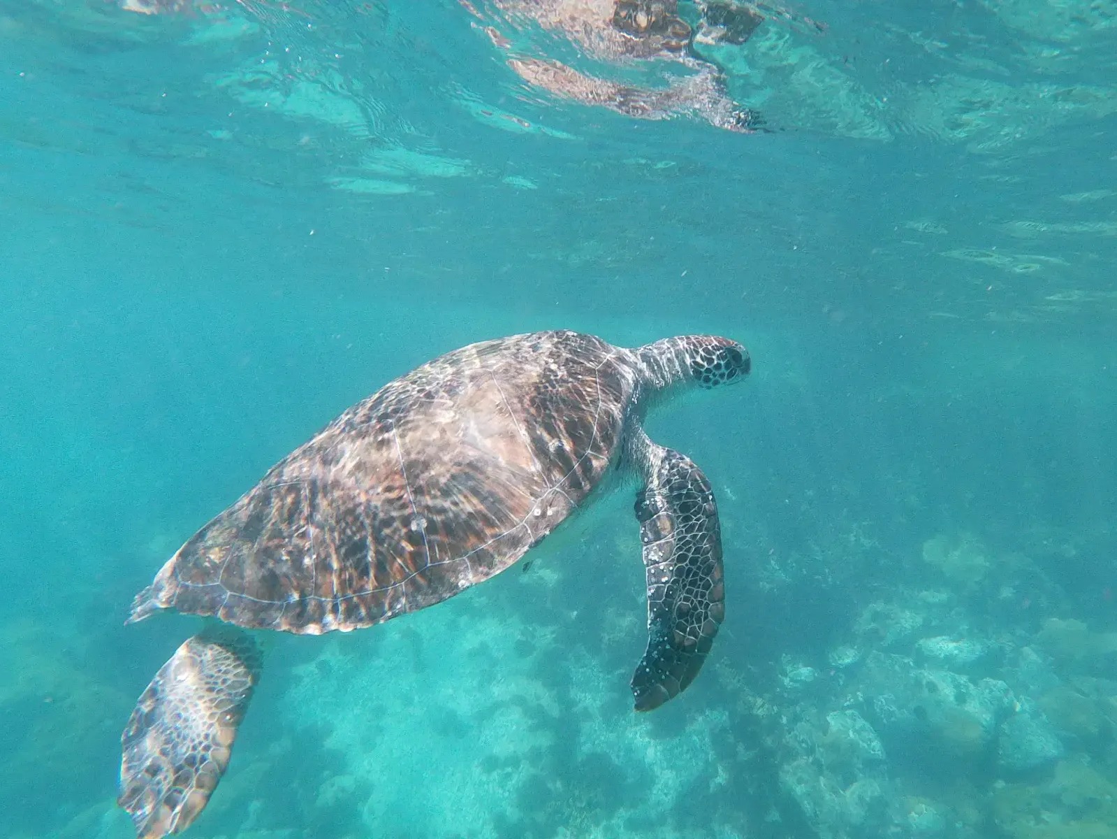 Sail through turquoise waters on a traditional boat—perfect views and gentle breeze