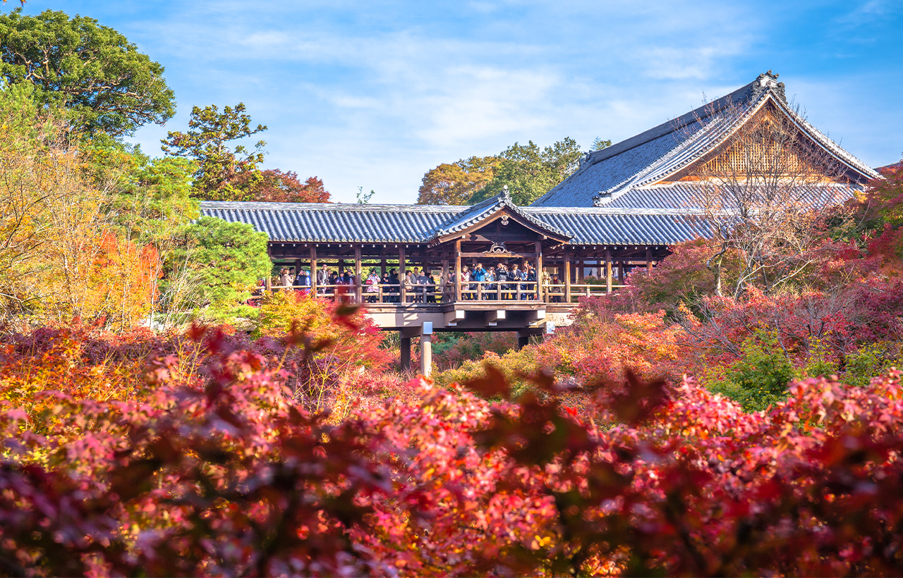 紅葉季｜京都東福寺＆伏見稻荷大社＆貴船神社賞楓一日遊｜4~13人精品小團