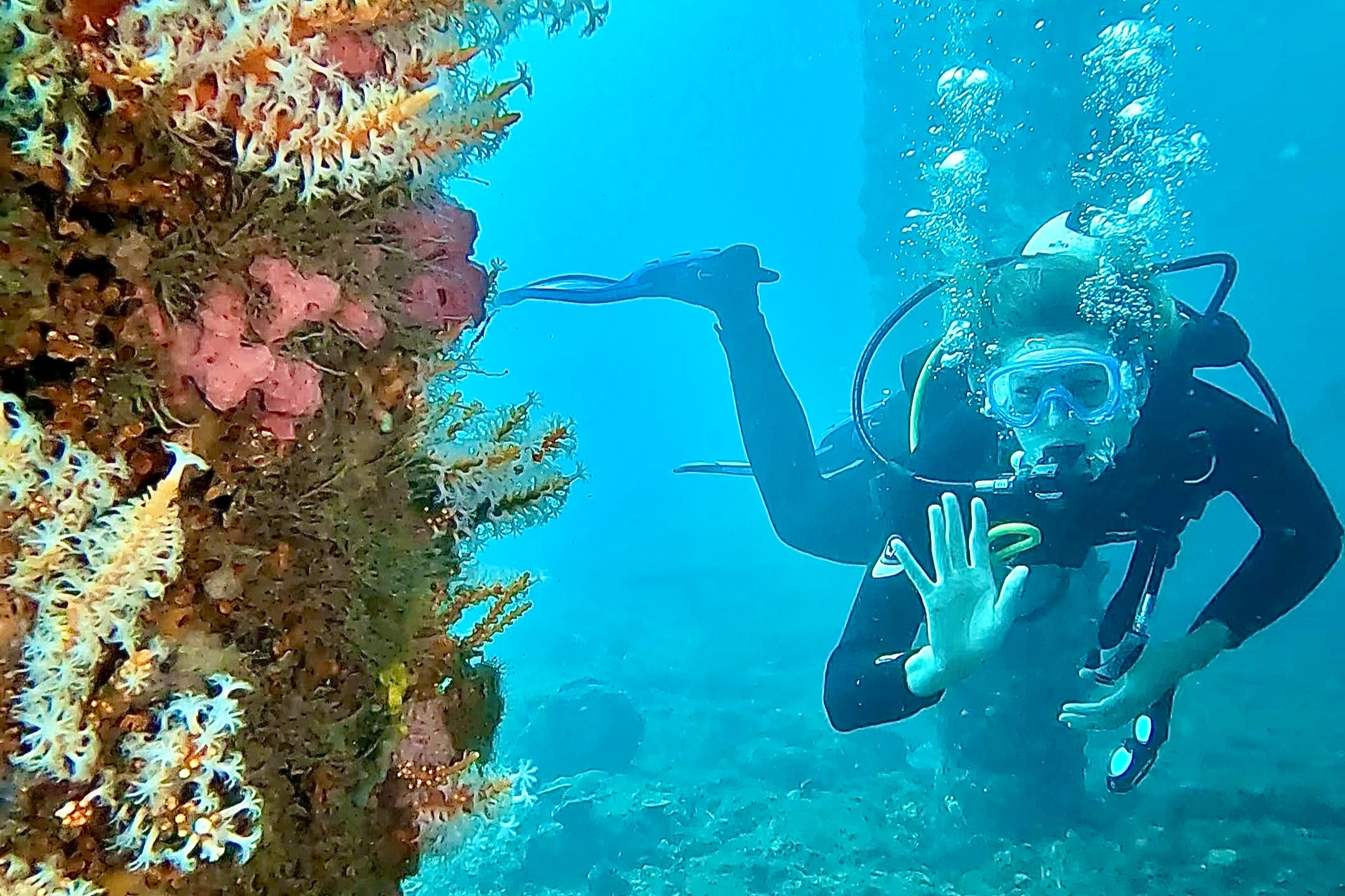 Busselton Jetty and Underwater Sculptures Discover Scuba Dive 