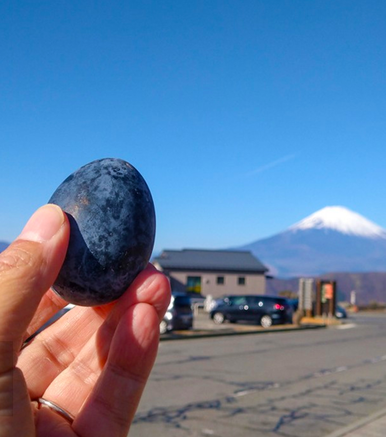 【箱根+鎌倉】富士山蘆之湖遊船+大涌谷+鎌倉高校前+江之島|東京出發