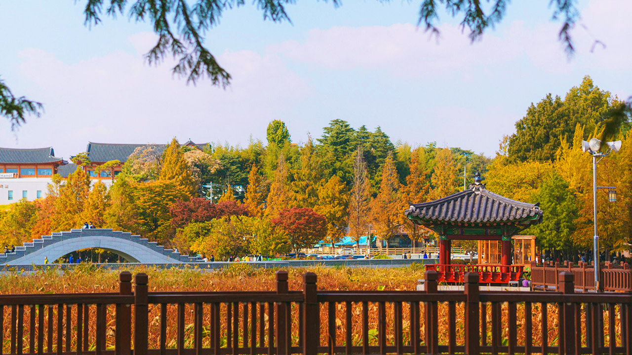 漫步於全州標誌性的橋樑,橫跨廣闊的荷花湖。這裡是韓國最美麗的傳統湖畔公園之一。 漫步於全州標誌性的橋樑,橫跨廣闊的荷花湖。這裡是韓國最美麗的傳統湖畔公園之一。