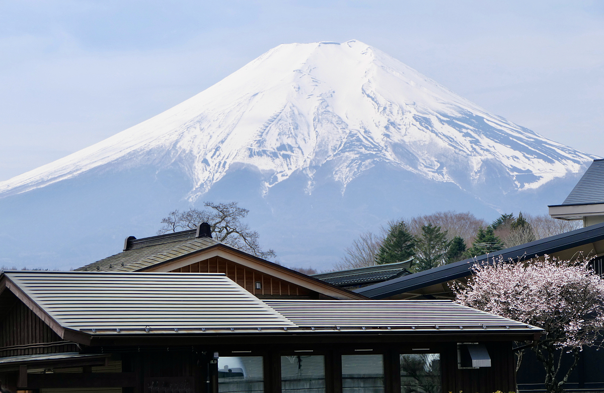 富士山四大名勝景點一日遊（東京出發)