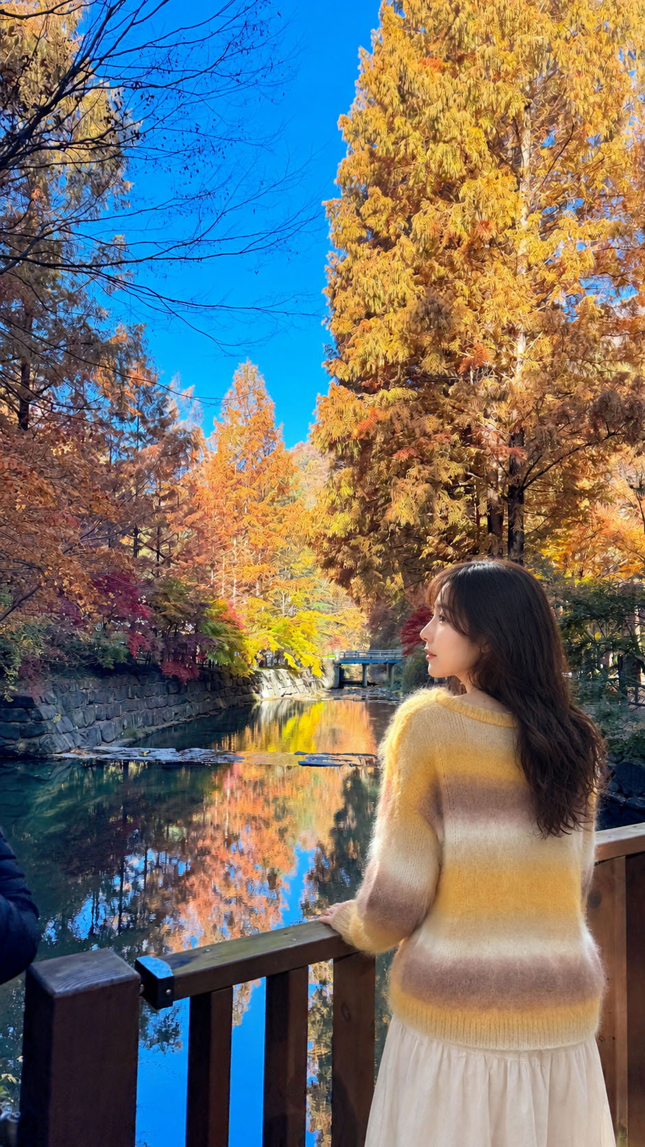 深受韓國本地人及秋季訪韓旅客的喜愛。