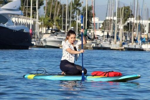 Kayak or Paddleboard with Sea Lions Experience in Marina del Rey