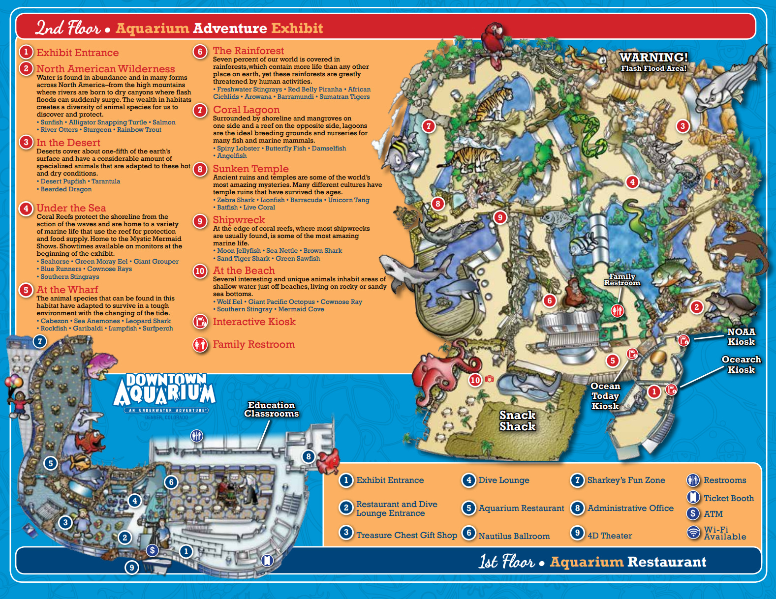 Aquarium Adventure Exhibit