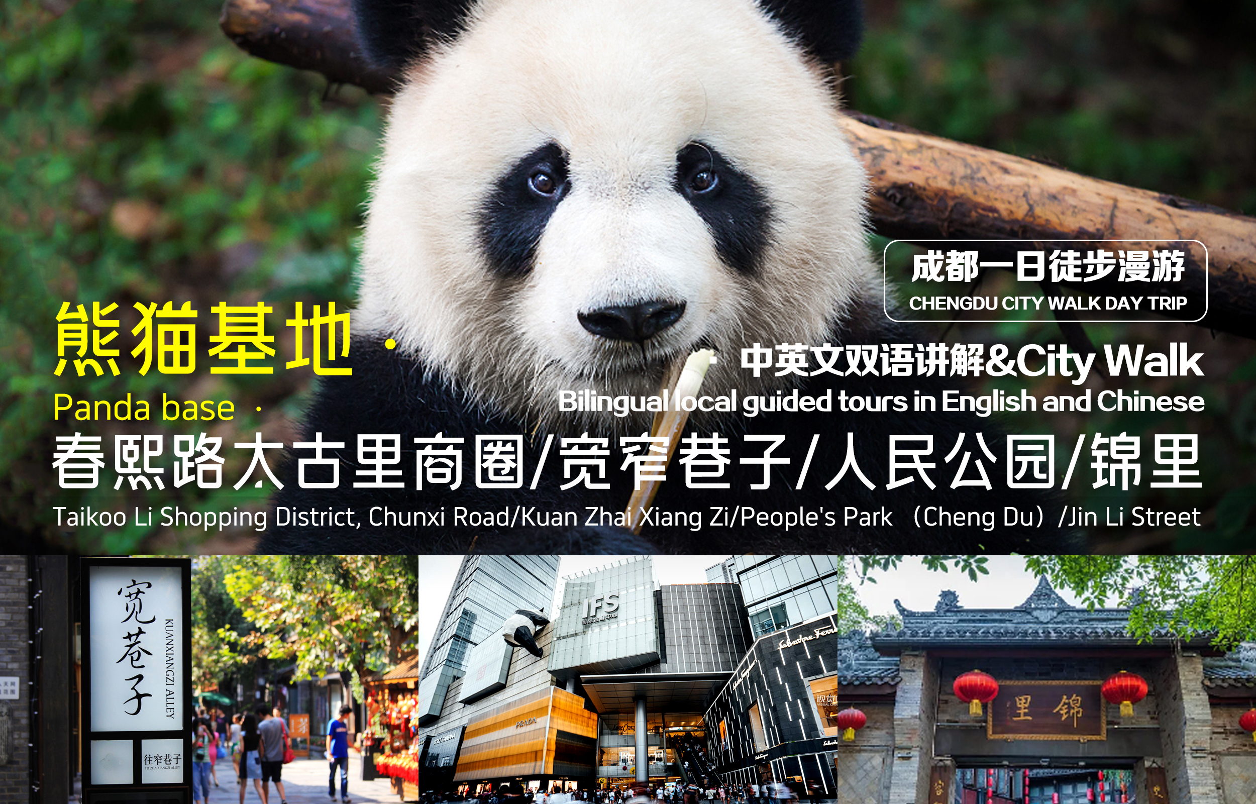 Chengdu Panda Base + Kuanzhai Alley/People’s Park/Jinli Ancient Street + Chunxi Road IFS & Taikoo Li one-day tour (local Chinese and English bilingual tour guide + City Walk + small group of 2-10 people)