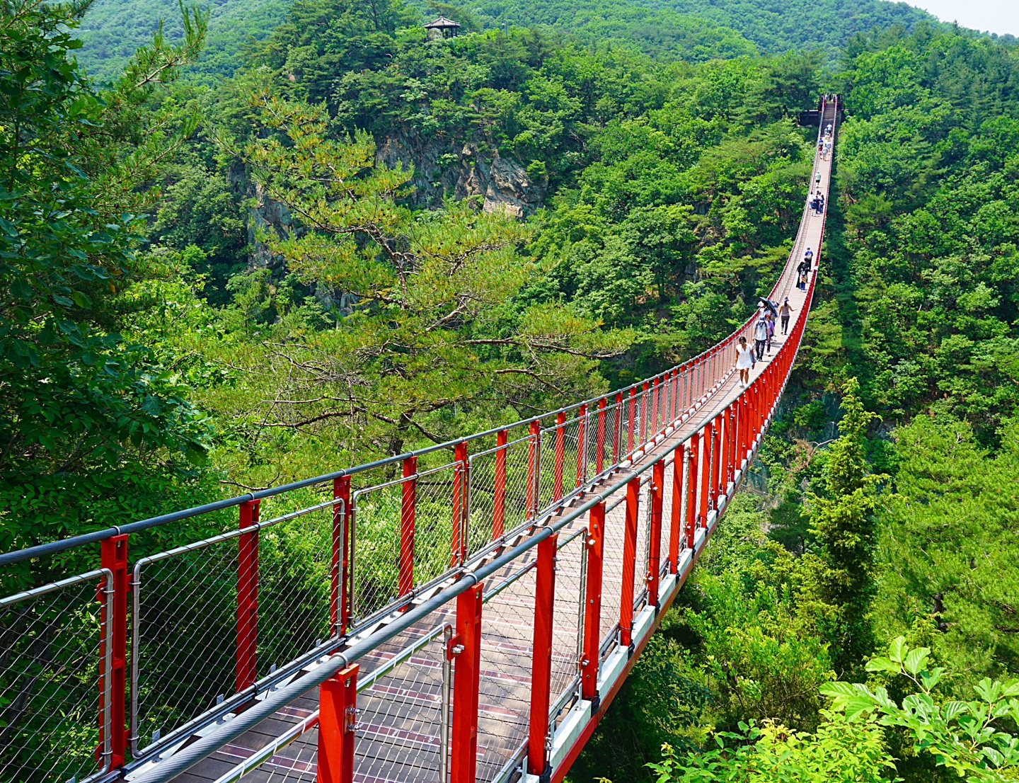 加馬山吊橋 加馬山吊橋