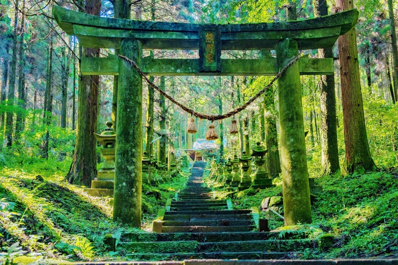靜謐的杉木林中,上色見熊野神社悄然佇立。仿佛一腳踏進了神隱的世界 。 靜謐的杉木林中,上色見熊野神社悄然佇立。仿佛一腳踏進了神隱的世界 。