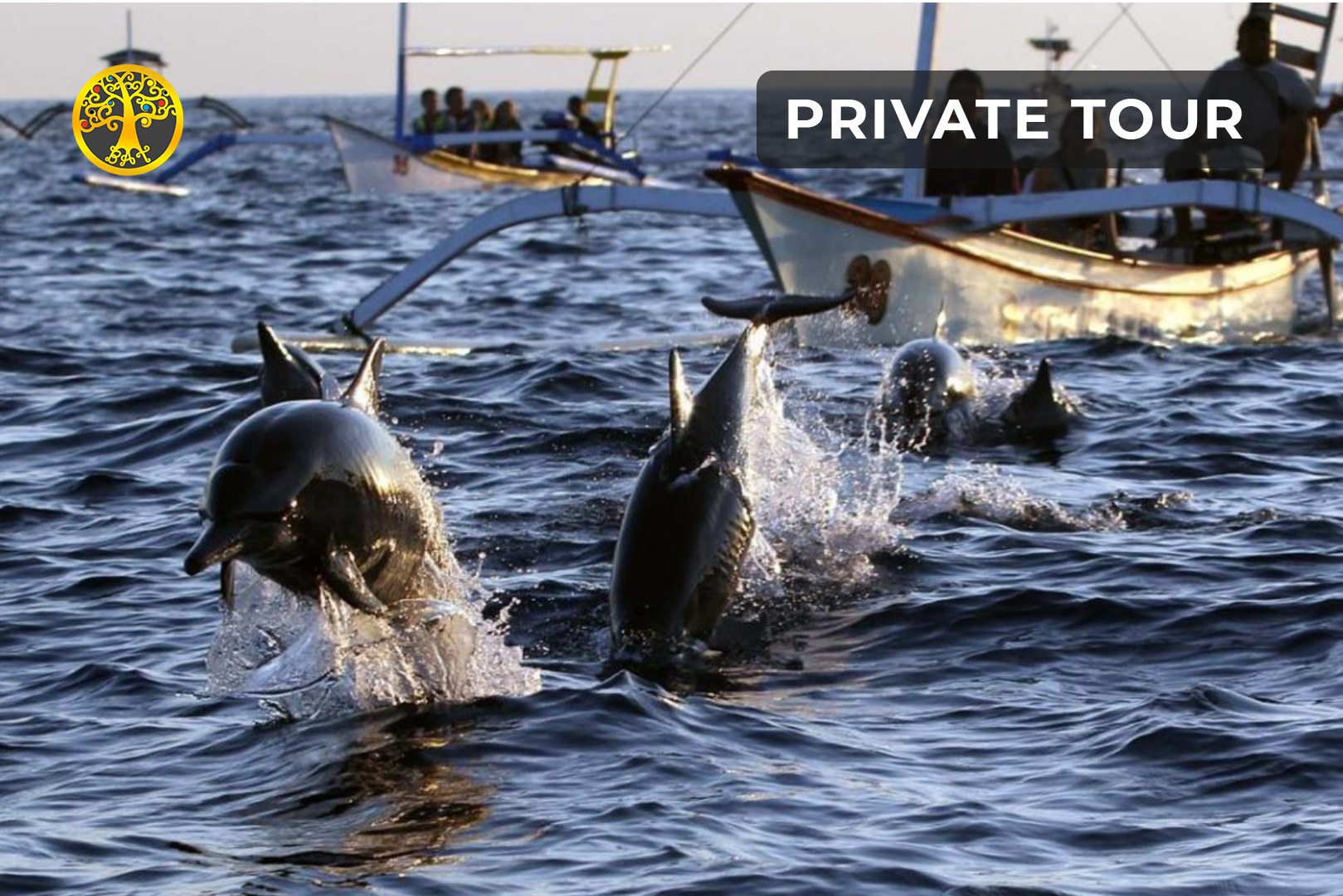 羅威那海豚觀賞 & 巴厘島北部私人遊