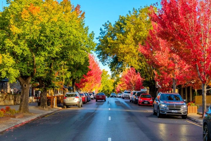 Adelaide City and Hahndorf Full-day Tour