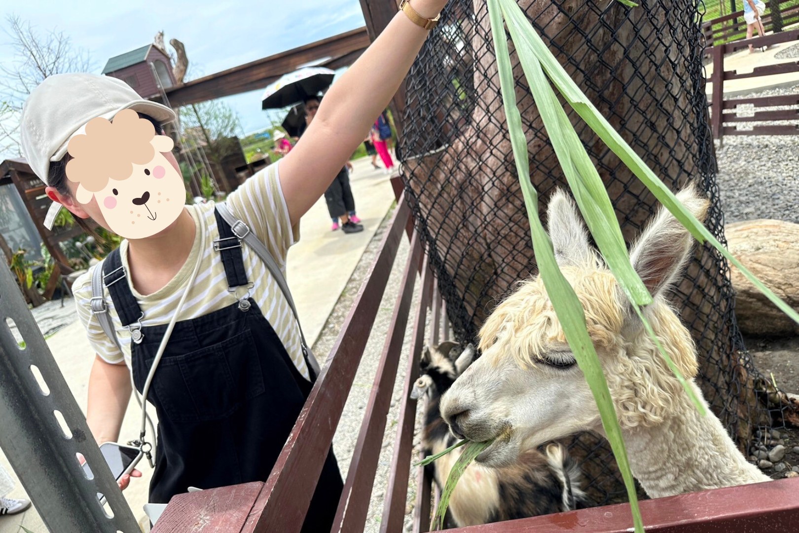 蘭陽動植物王國內擁有多種可愛動物,如水豚、梅花鹿、狐獴、兔子、羊駝等,還能近距離餵食、拍照,深受親子與情侶旅客喜愛。 蘭陽動植物王國內擁有多種可愛動物,如水豚、梅花鹿、狐獴、兔子、羊駝等,還能近距離餵食、拍照,深受親子與情侶旅客喜愛。