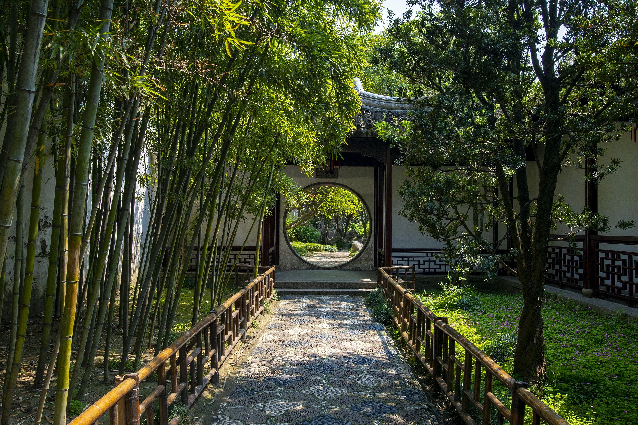 蘇州拙政園+獅子林/夜遊周莊/蘇州博物館 一日遊（日遊/夜景/古典演出多條線路可選）