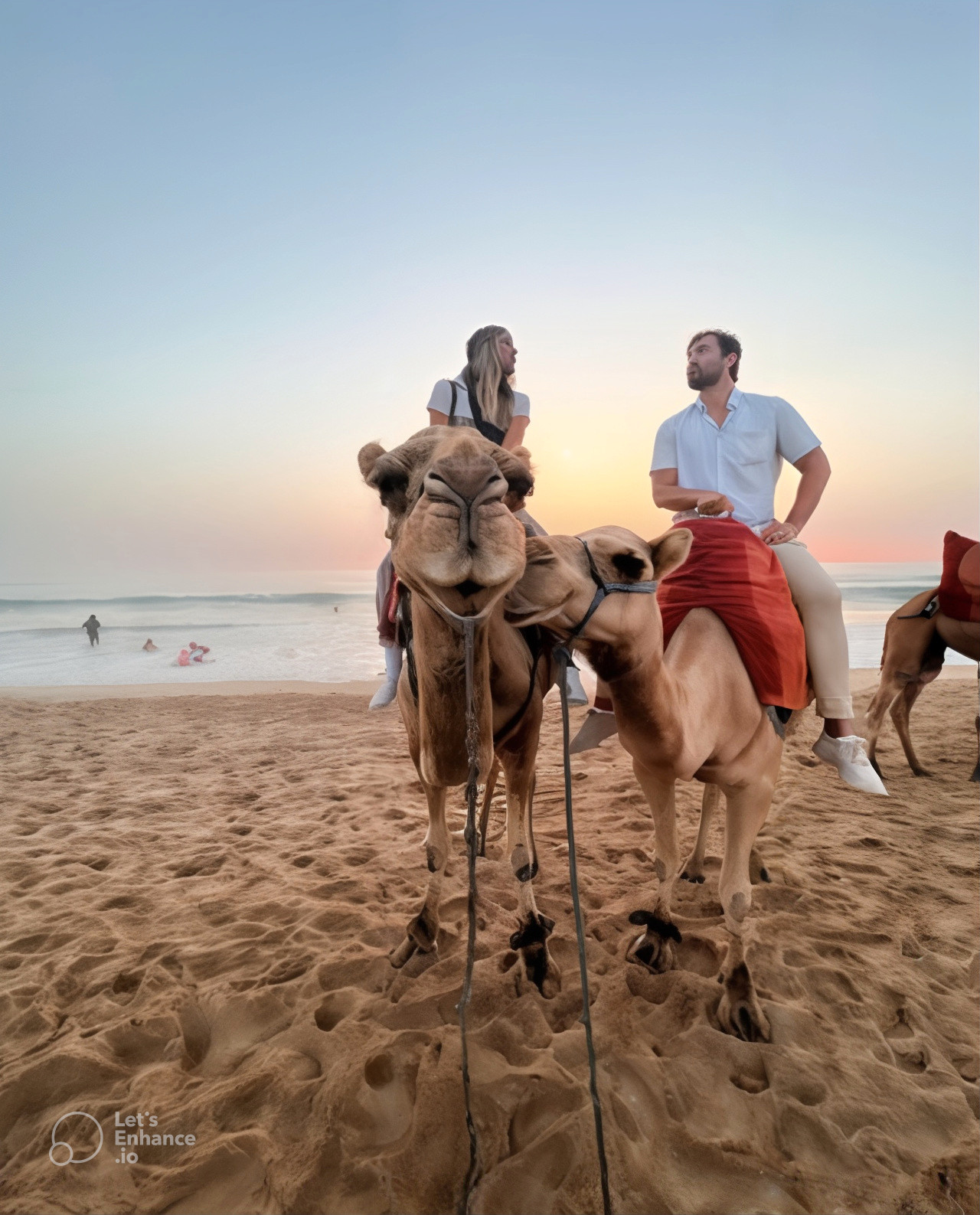 Sunset Camel Ride &amp; Full Dinner