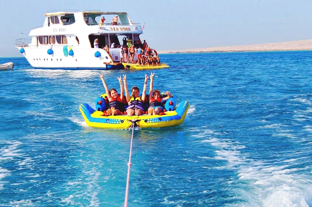 洪加達海豚觀賞遊船之旅（包浮潛 & 午餐）