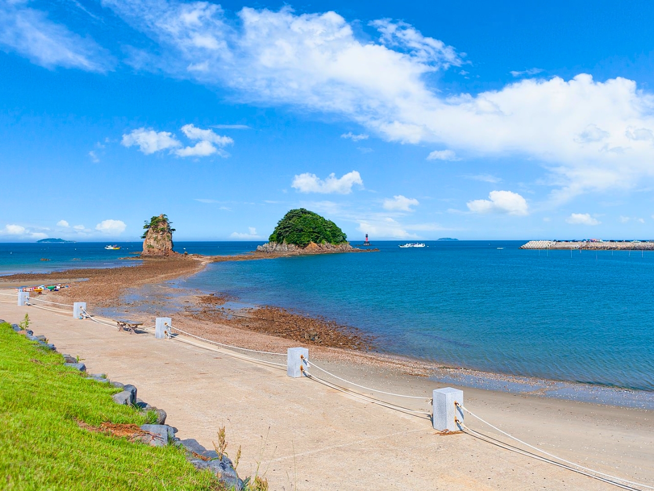 泰安世界鬱金香節 + 安眠島 花地海水浴場 + 草莓採摘 一日遊 (首爾出發)