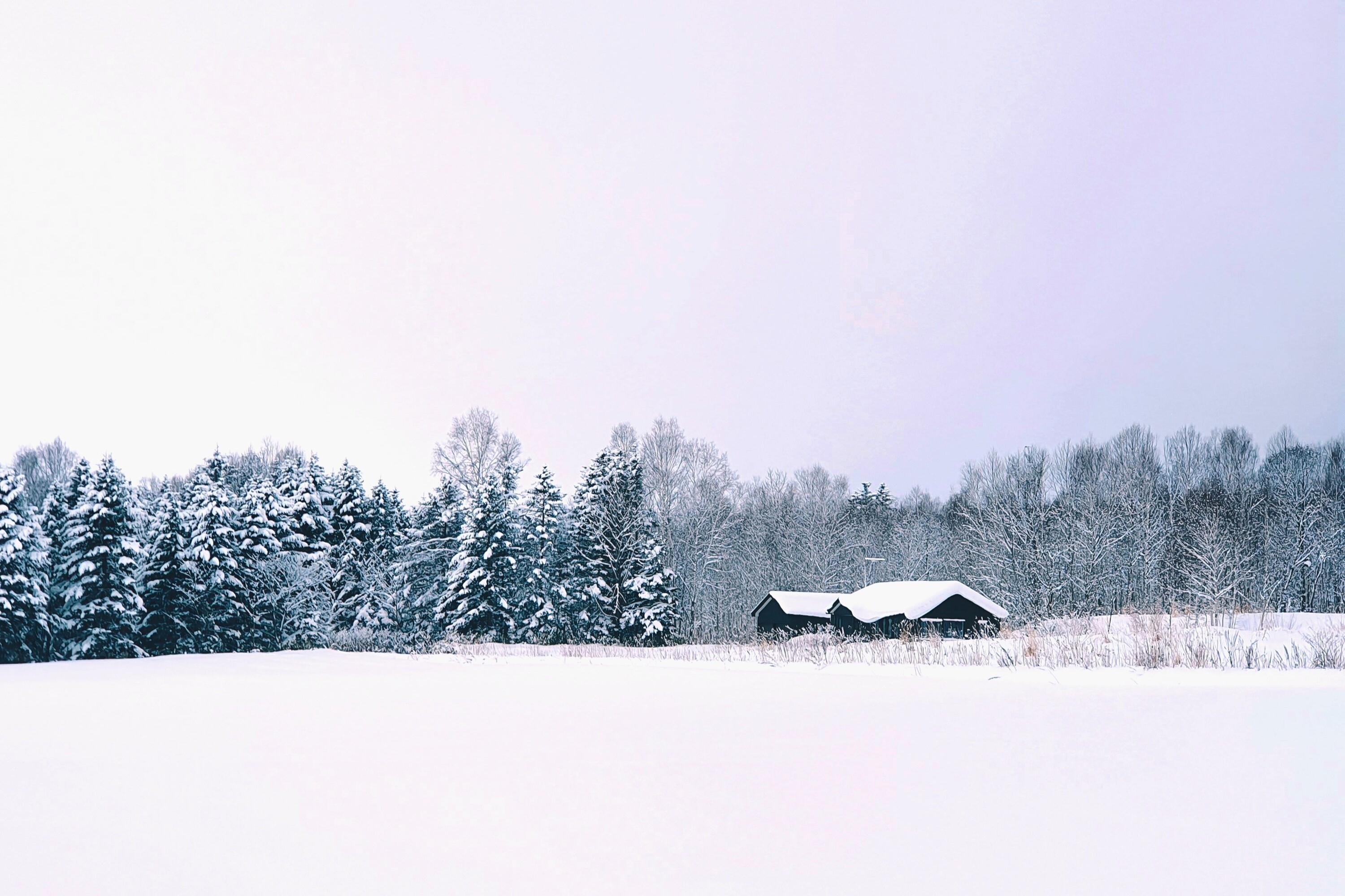 ✧⁺穿越拼布之路，北海道的冬天悄然而至。