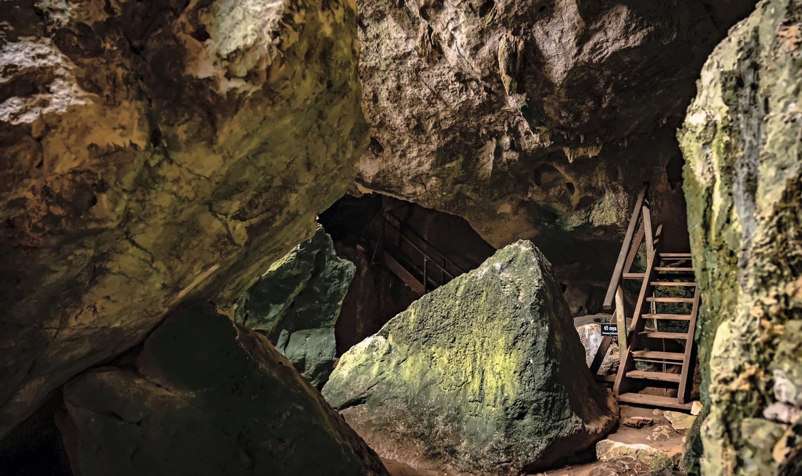 探索古老的地質歷史、早期探險家以及棲息在摩羯洞穴(Capricorn Caves)的野生動物。 探索古老的地質歷史、早期探險家以及棲息在摩羯洞穴(Capricorn Caves)的野生動物。