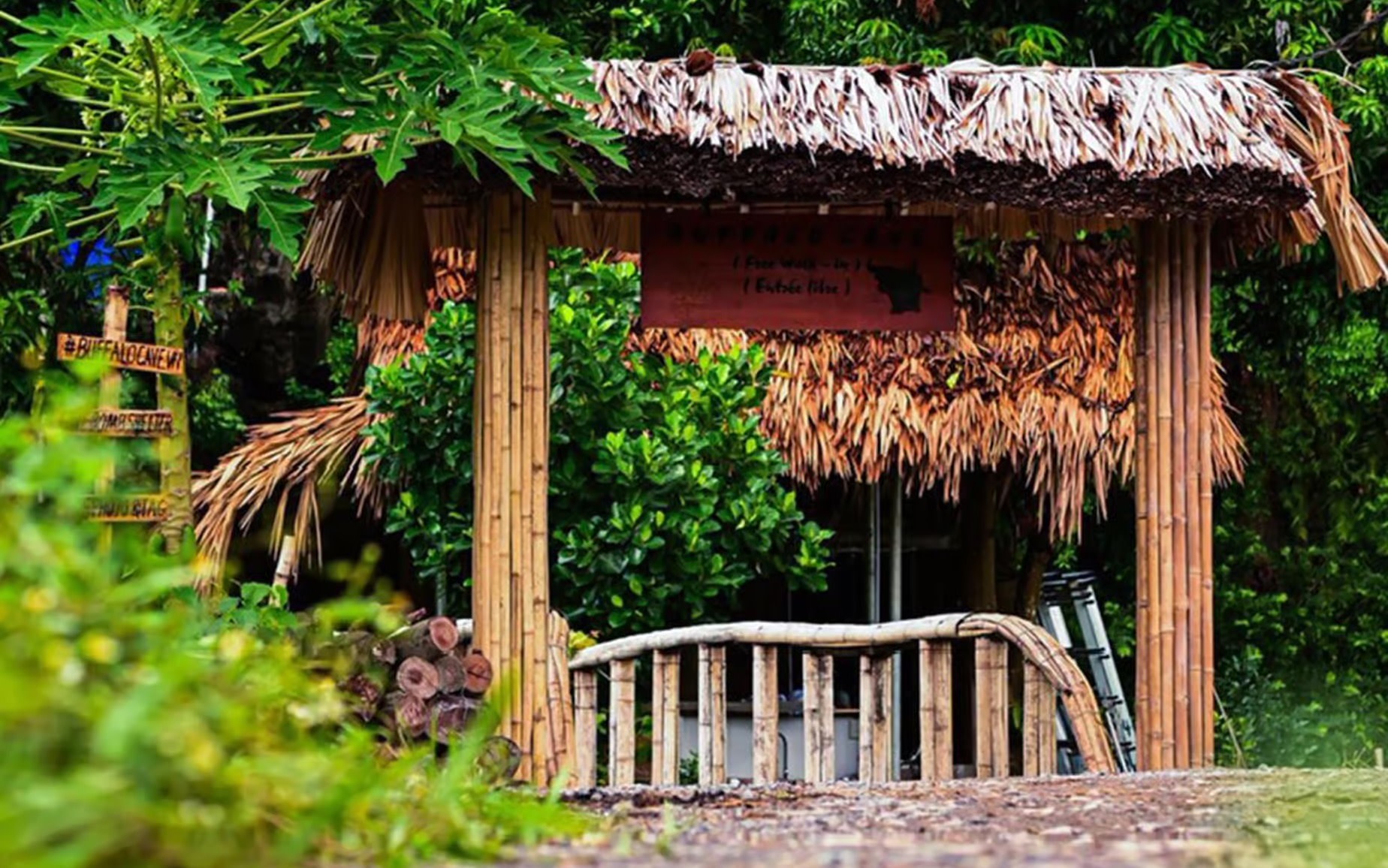 From Ninh Binh: Tam Coc Museum, Rice Farming & Cooking Class
