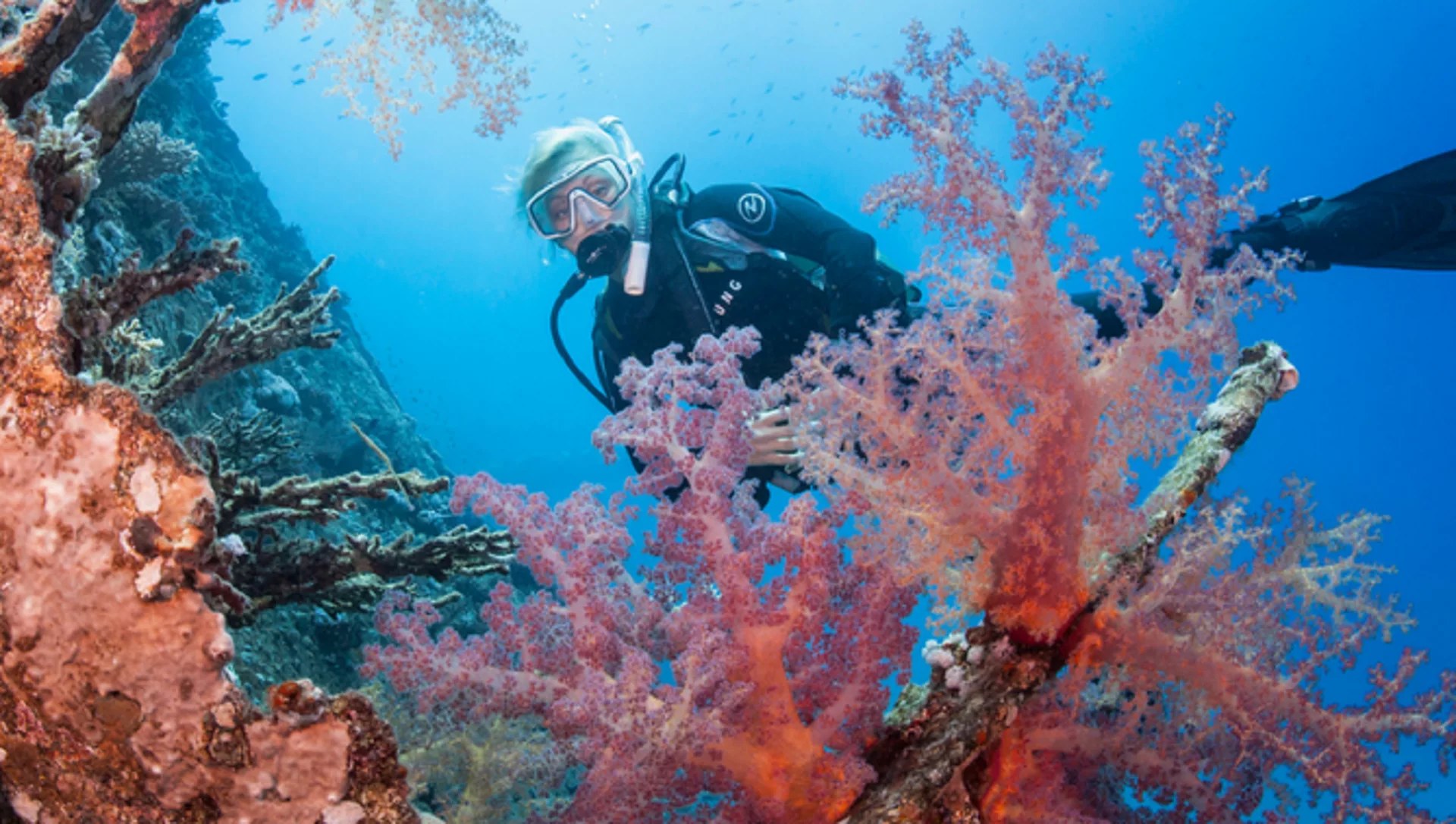 長灘島 PADI 潛水中心進階潛水課程