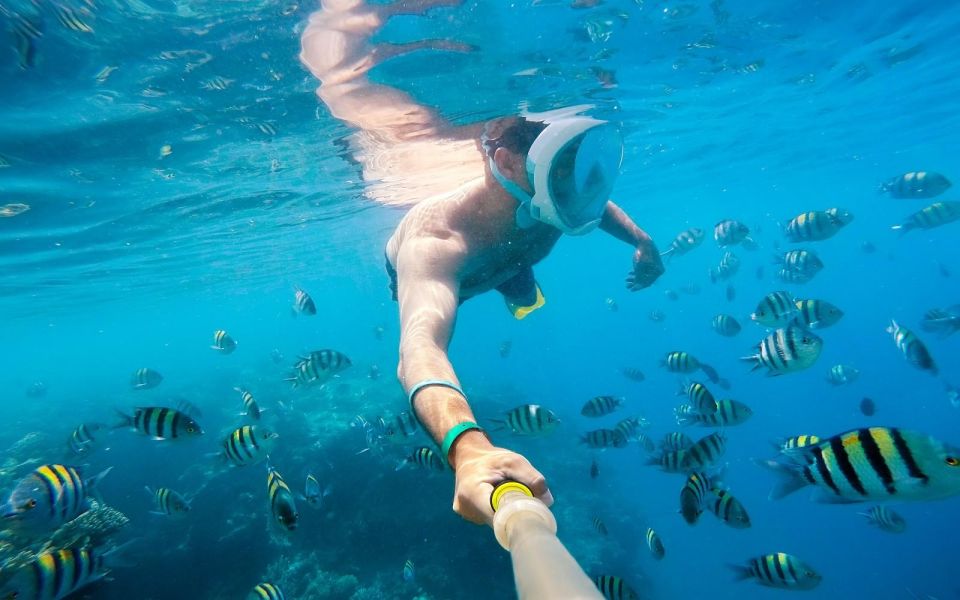 赫爾格達：私人快艇之旅3個浮潛點
