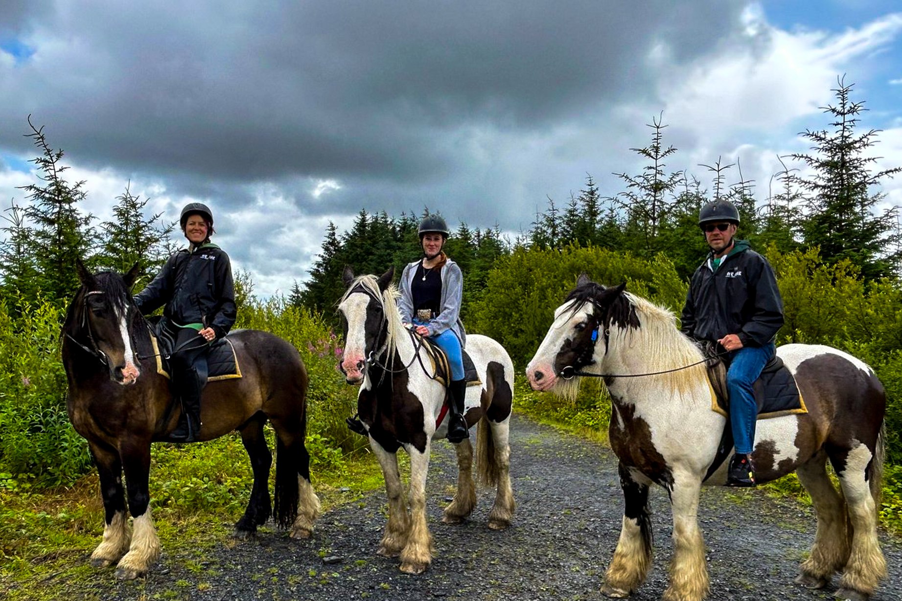 Horse Riding Experience in Cape Town