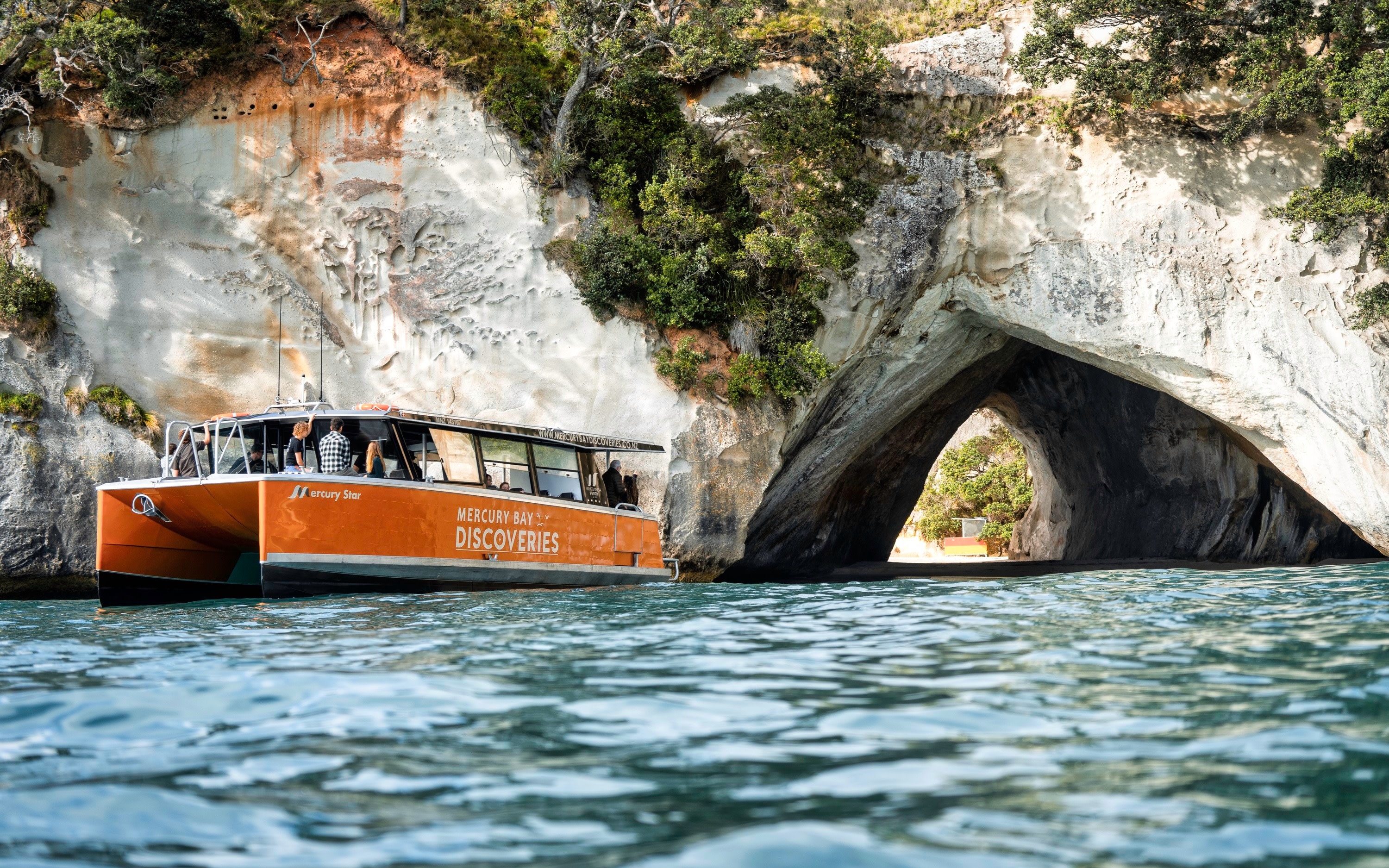 Cathedral Cove, Coast & Cave Tour 