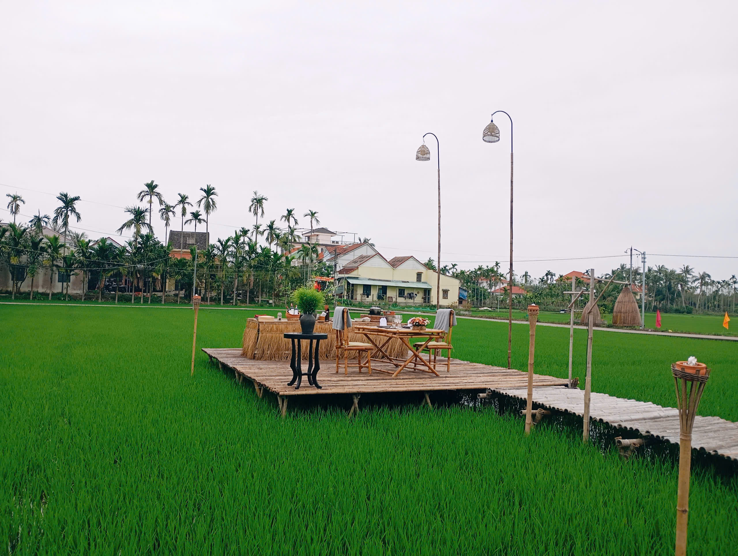 Paddy Field Dining with Sunset & Basket Boat Experience in Hoi An