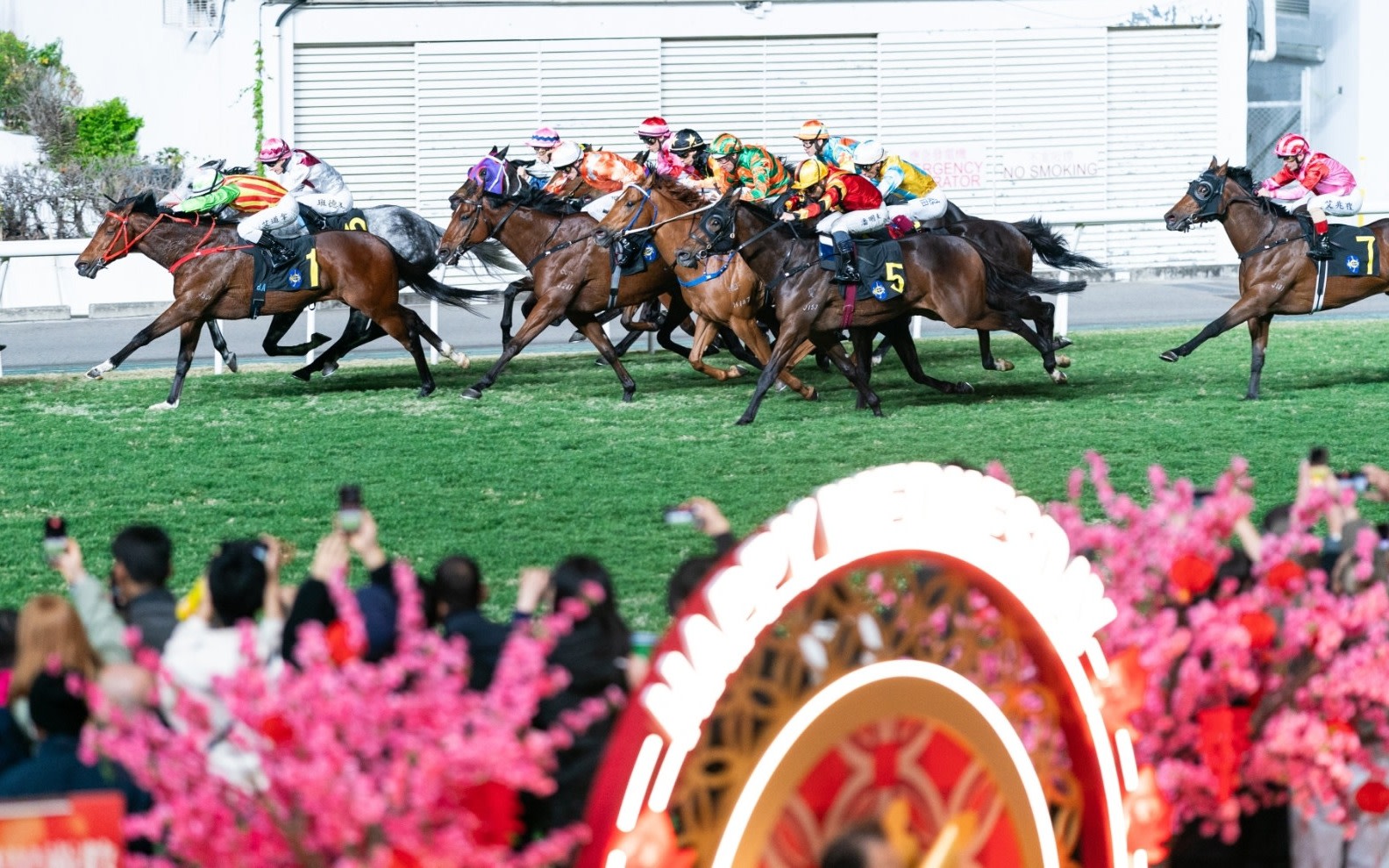 One Day/ Night Horse Racing Experience with Racecourse Guided Tour & Dining