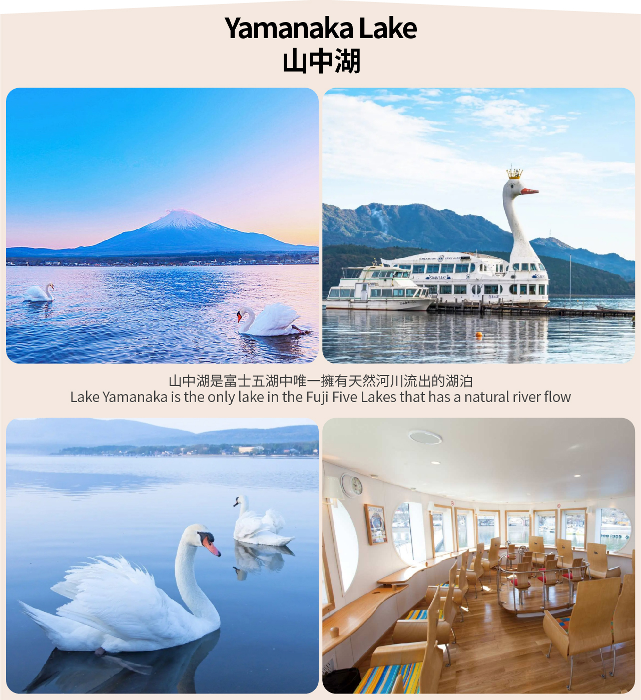 【富士山單車騎行抹茶體驗泡溫泉深度二日遊】河口湖&抹茶體驗&纜車&溫泉&山中湖騎行&忍野八海&新倉山淺間公園深度二日遊