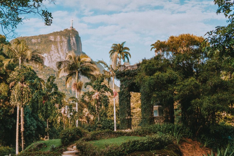 Tijuca Forest and Botanical Garden Tour in Rio de Janeiro