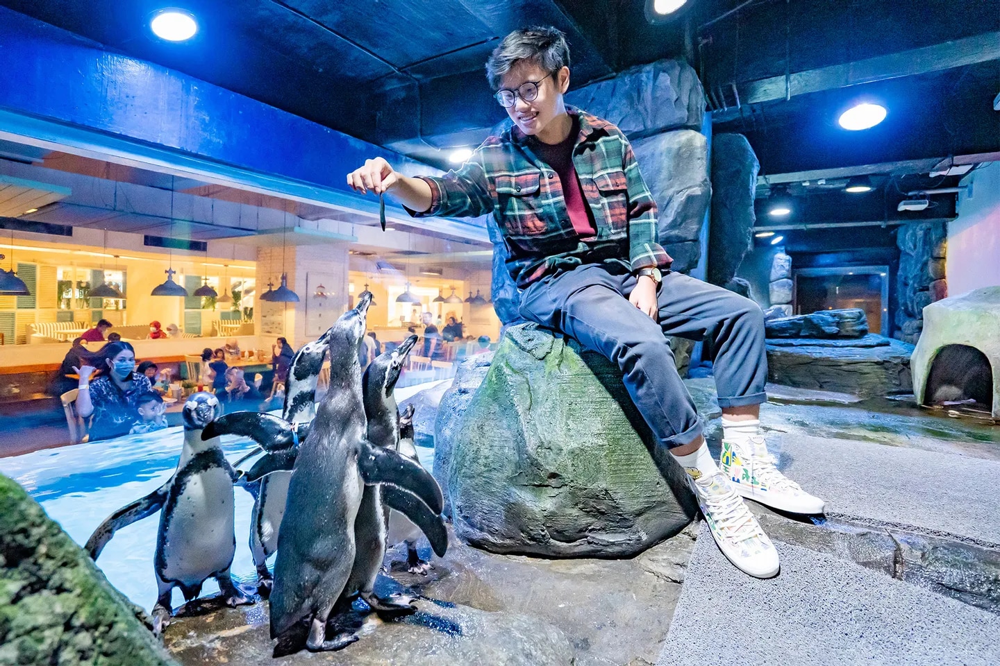 探索雅加達水族館野生動物園的奇觀，近距離接觸各種令人驚歎的海洋生物和野生動物