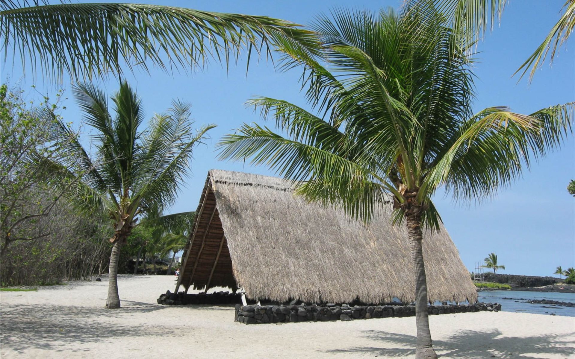 Kona cultural tour with lunch and coffee tasting in Hawaii