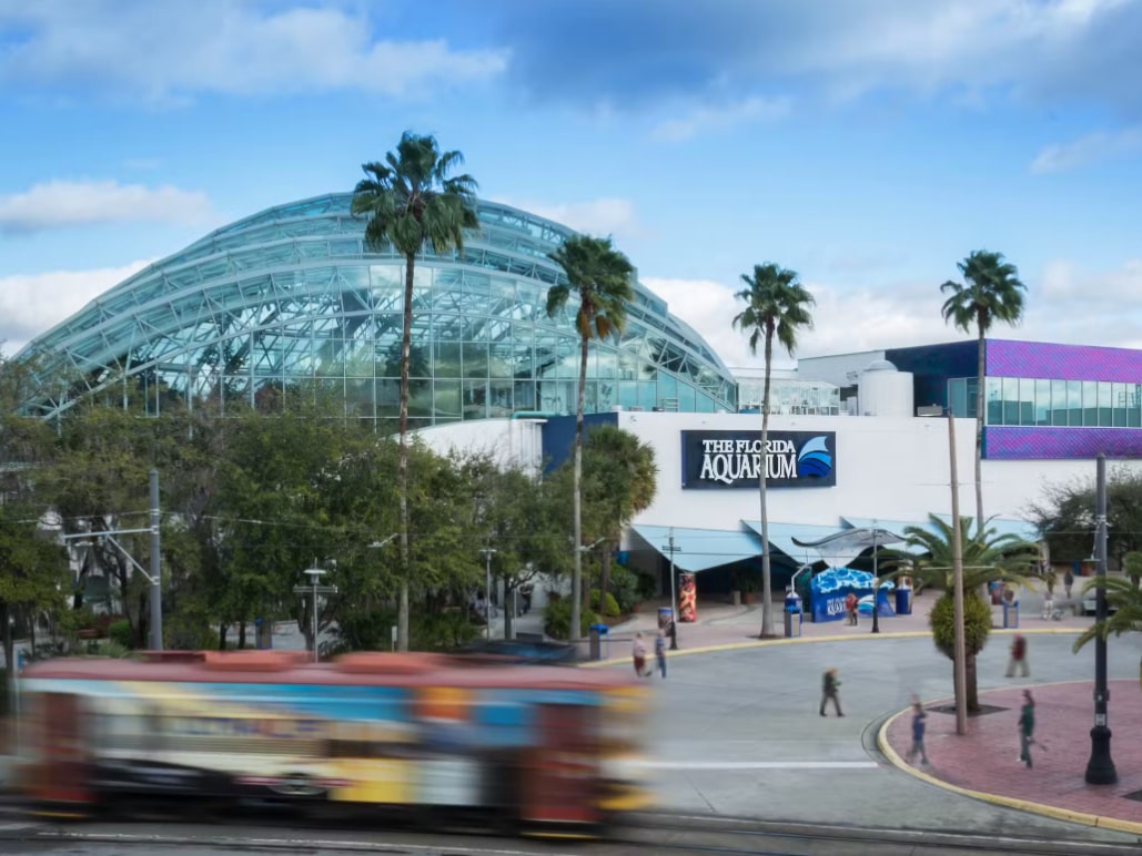 The Florida Aquarium Ticket